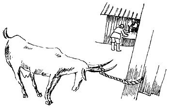 Книгаго: Коза-дереза. Иллюстрация № 4
