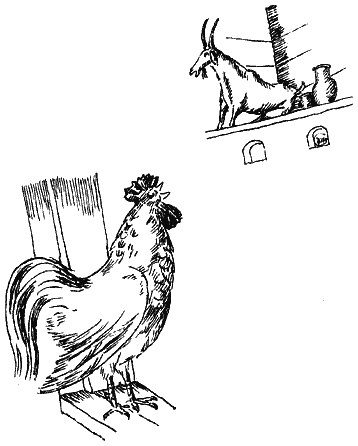 Книгаго: Коза-дереза. Иллюстрация № 7
