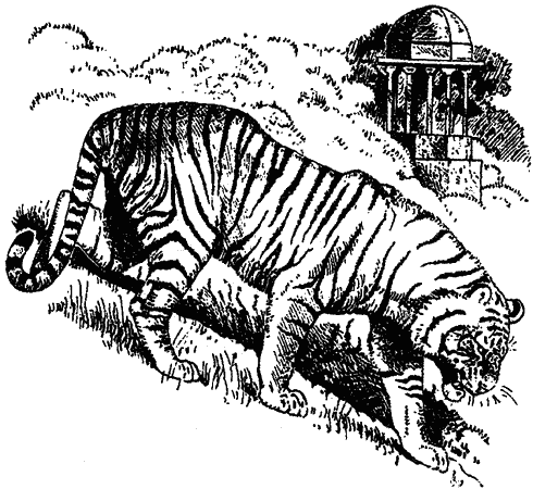 Книгаго: Храмовый тигр. Иллюстрация № 3