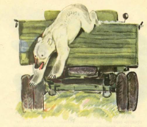 Книгаго: Медвежонок Васька. Иллюстрация № 5