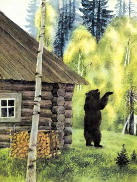 Книгаго: Маша и медведь. Иллюстрация № 11