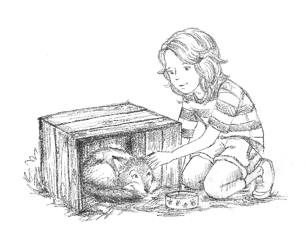 Книгаго: Котёнок Амелия, или Колокольчик-невидимка. Иллюстрация № 5