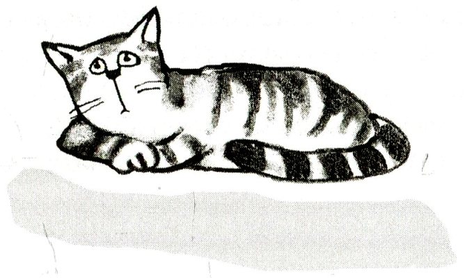 Книгаго: Я всего лишь кошка. Иллюстрация № 9