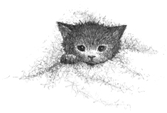 Книгаго: Котёнок Клякса, или Загадка привидения. Иллюстрация № 2