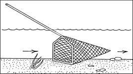 Книгаго: Большая энциклопедия рыбалки. Том 3. Иллюстрация № 2