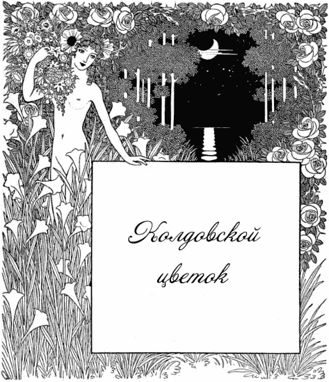 Книгаго: Колдовской цветок. Иллюстрация № 1