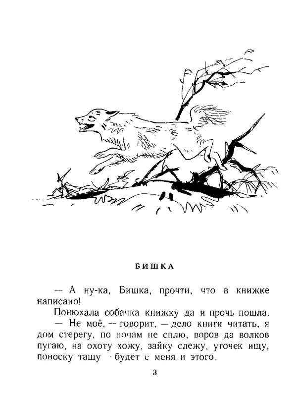 Книгаго: Бишка. Иллюстрация № 4