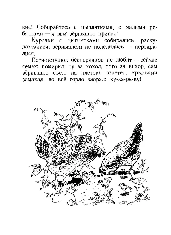 Книгаго: Бишка. Иллюстрация № 6