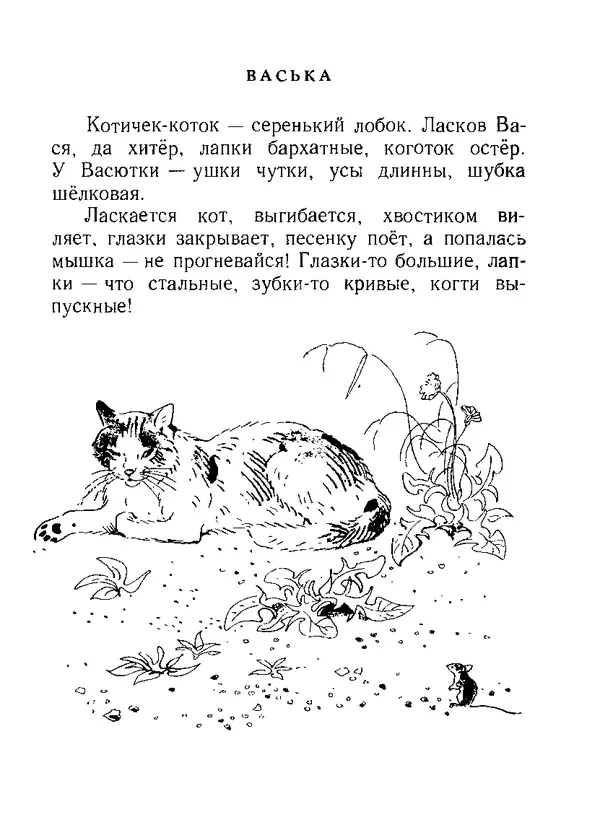 Книгаго: Бишка. Иллюстрация № 7