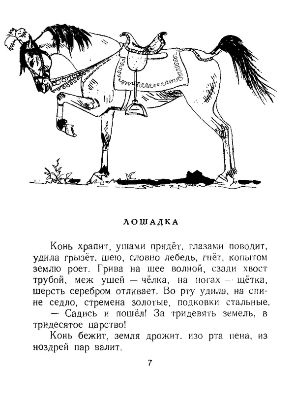 Книгаго: Бишка. Иллюстрация № 8