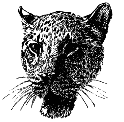 Книгаго: Леопард из Рудрапраяга. Иллюстрация № 1