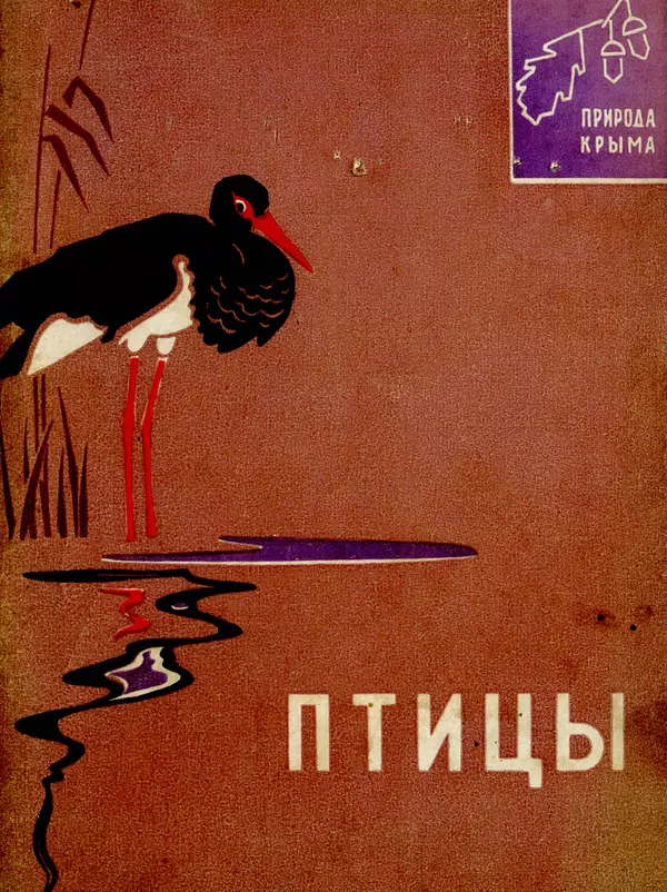 Книгаго: Птицы Крыма. Иллюстрация № 1