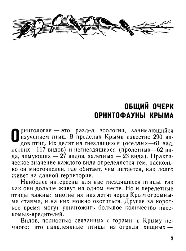 Книгаго: Птицы Крыма. Иллюстрация № 4