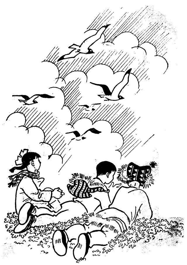 Книгаго: Хозяйка Птичьей скалы. Иллюстрация № 1