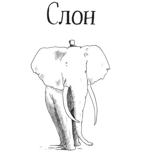 Книгаго: Слон. Иллюстрация № 1