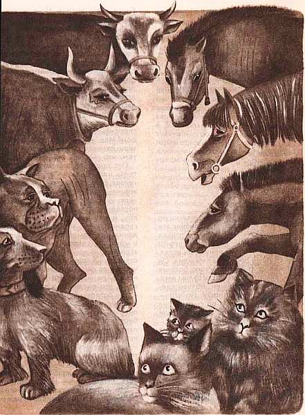 Книгаго: Соседи по планете: Домашние животные. Иллюстрация № 20