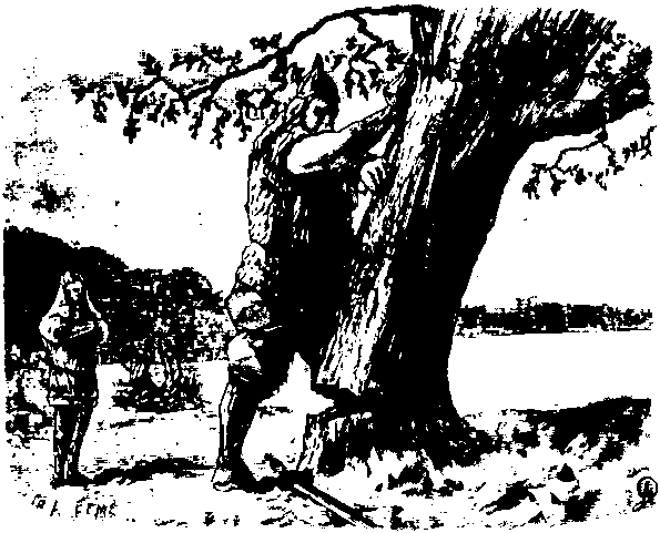 Книгаго: Мифы и легенды народов мира. Том 6. Северная и Западная Европа. Иллюстрация № 4