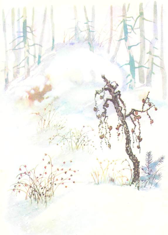 Книгаго: Зимовье на Студеной. Иллюстрация № 1