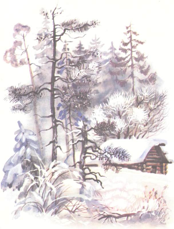Книгаго: Зимовье на Студеной. Иллюстрация № 5