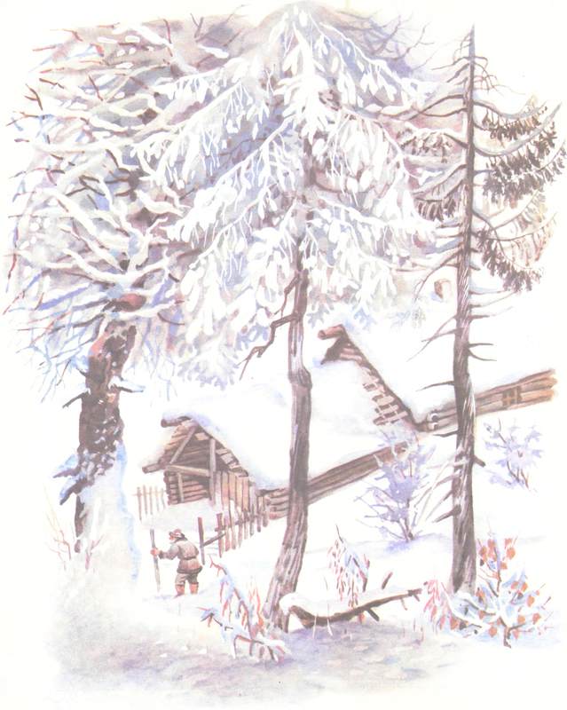 Книгаго: Зимовье на Студеной. Иллюстрация № 7