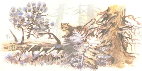 Книгаго: Зимовье на Студеной. Иллюстрация № 9