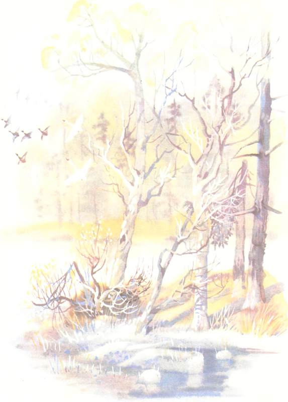 Книгаго: Зимовье на Студеной. Иллюстрация № 15