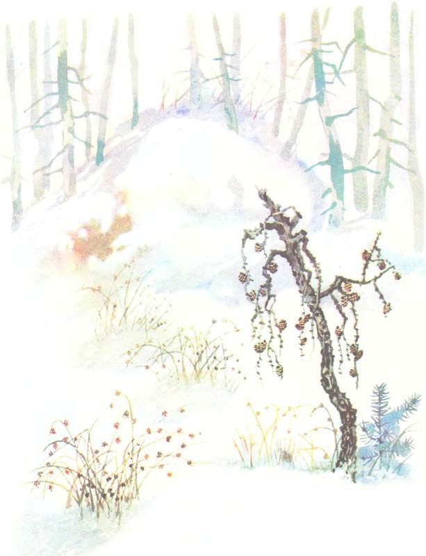 Книгаго: Зимовье на Студеной. Иллюстрация № 21