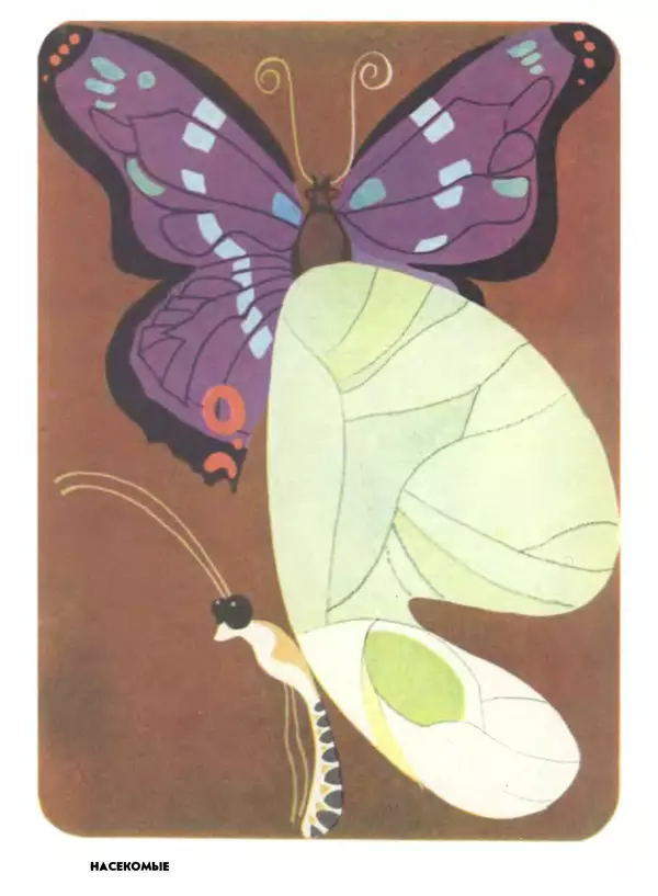 Книгаго: Мир животных. Рассказы о насекомых. Иллюстрация № 7