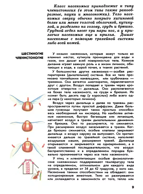 Книгаго: Мир животных. Рассказы о насекомых. Иллюстрация № 9