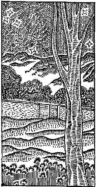 Книгаго: Гамадриады подстерегают в саду. Иллюстрация № 1