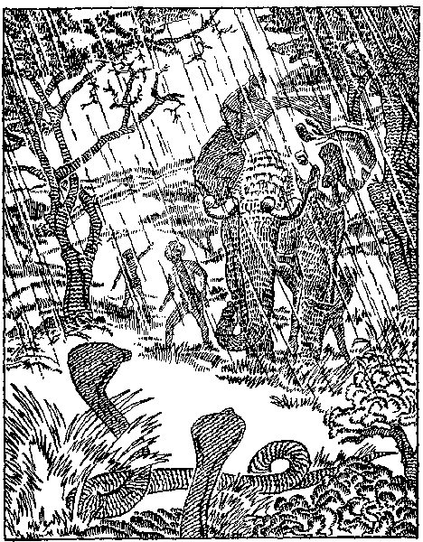 Книгаго: Гамадриады подстерегают в саду. Иллюстрация № 2