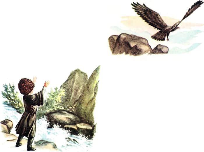 Книгаго: Красный орёл. Иллюстрация № 4