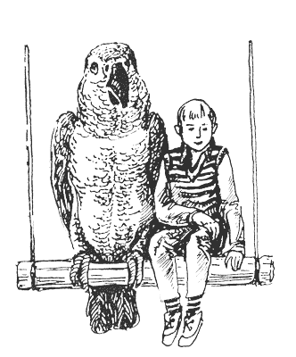 Книгаго: Гарри и попугай. Иллюстрация № 2