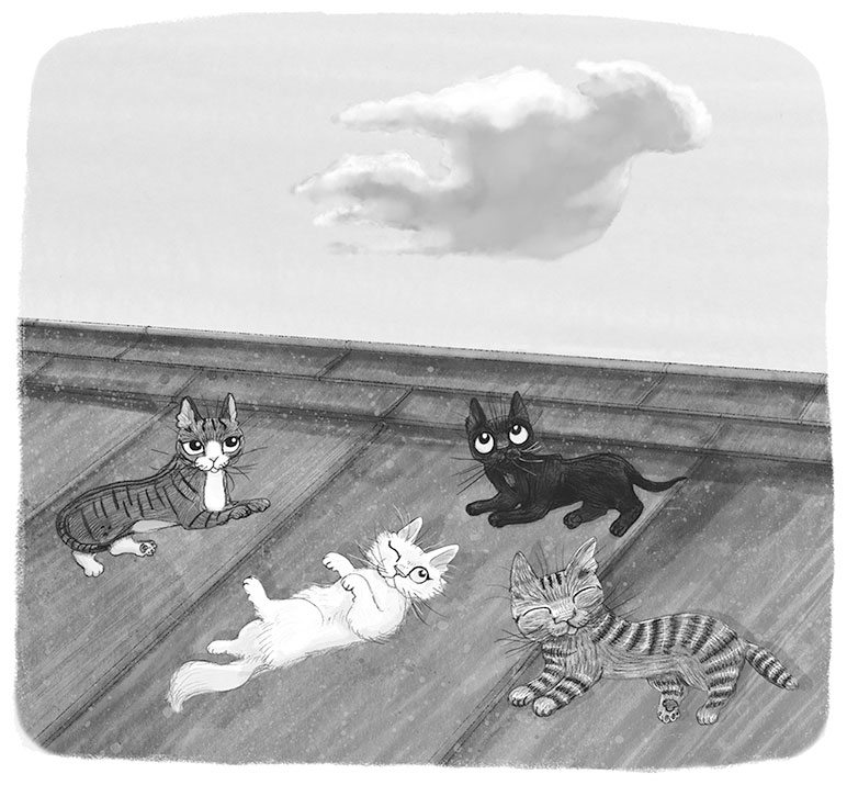 Книгаго: Тайный дневник кота Бориса. Иллюстрация № 6