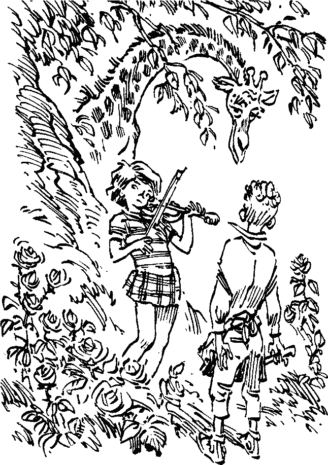 Книгаго: Сыщик Алиса. Иллюстрация № 8