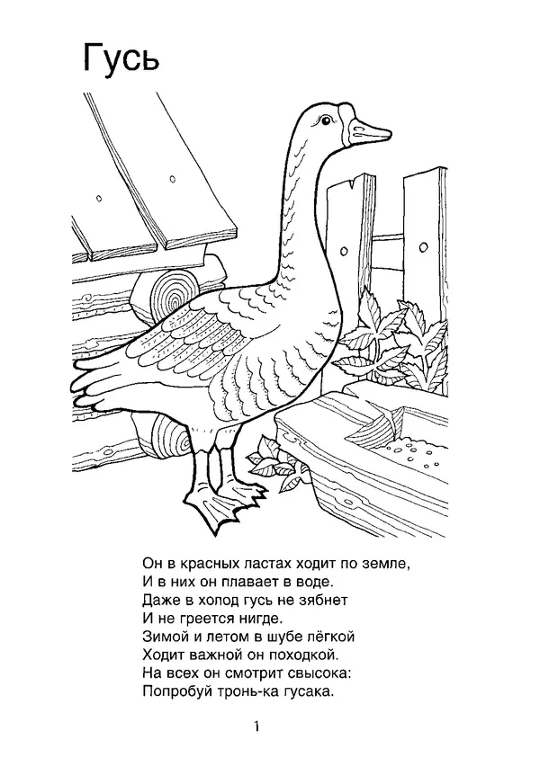 Книгаго: В мире животных: Книжка-раскраска. Иллюстрация № 2