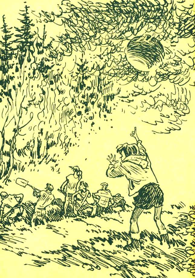 Книгаго: Звездолет в лесу. Иллюстрация № 1
