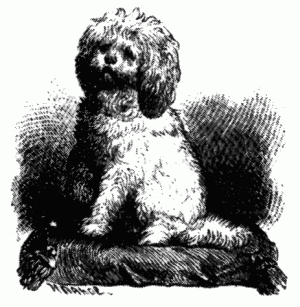Книгаго: Знаменитые собаки. Иллюстрация № 1