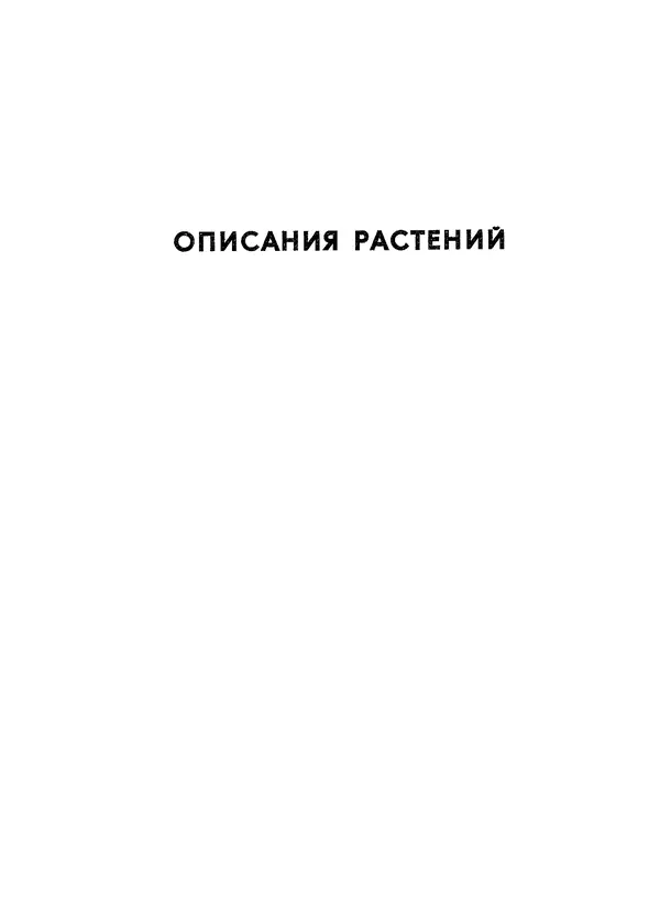 Книгаго: Травянистые растения СССР. Том 2. Иллюстрация № 5