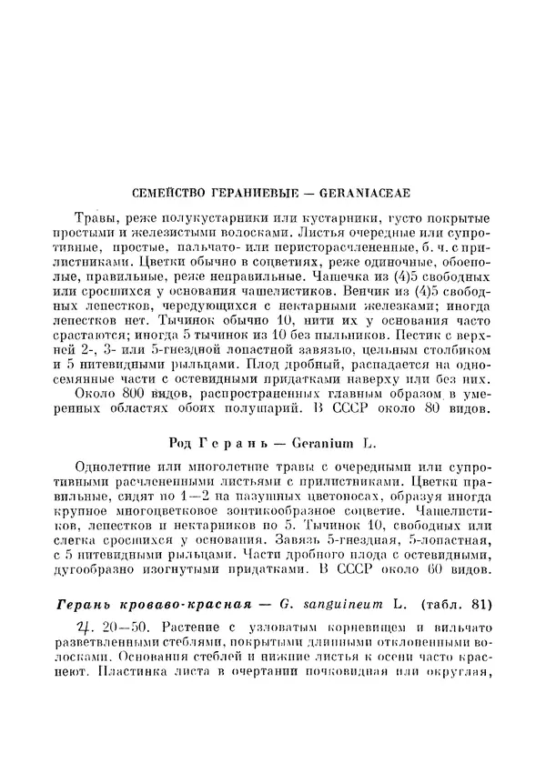 Книгаго: Травянистые растения СССР. Том 2. Иллюстрация № 7