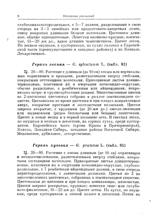 Книгаго: Травянистые растения СССР. Том 2. Иллюстрация № 8
