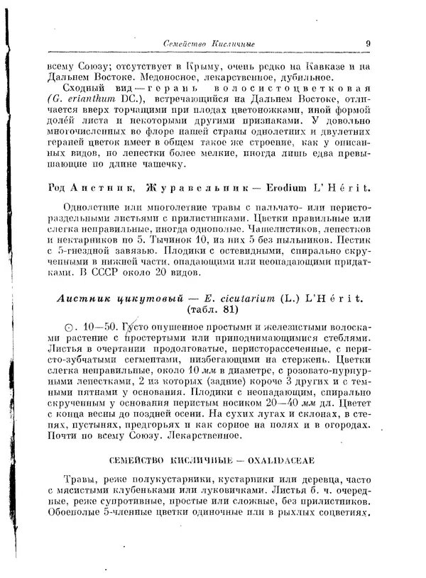 Книгаго: Травянистые растения СССР. Том 2. Иллюстрация № 9
