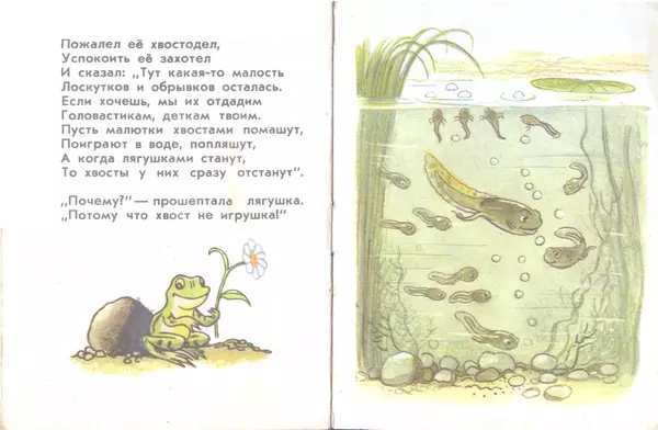 Книгаго: Почему у лягушки нет хвоста. Иллюстрация № 8