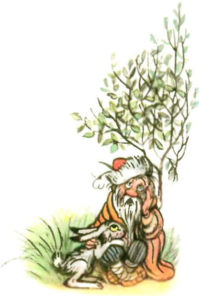 Книгаго: Лесной плакунчик (рис. Сутеева). Иллюстрация № 7