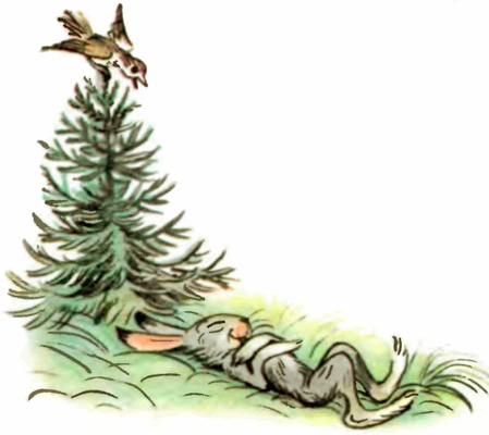 Книгаго: Лесной плакунчик (рис. Сутеева). Иллюстрация № 8