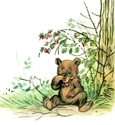 Книгаго: Лесной плакунчик (рис. Сутеева). Иллюстрация № 9