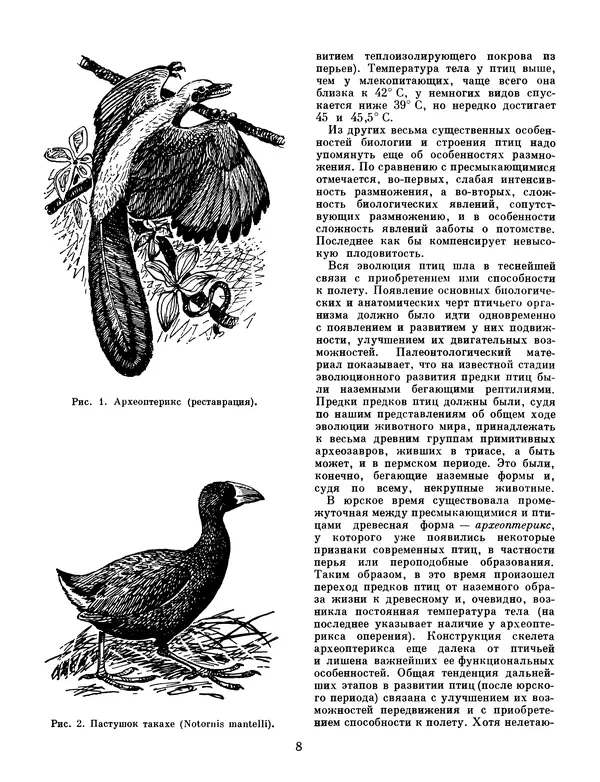 Книгаго: Жизнь животных. Том 5. Птицы. Иллюстрация № 8