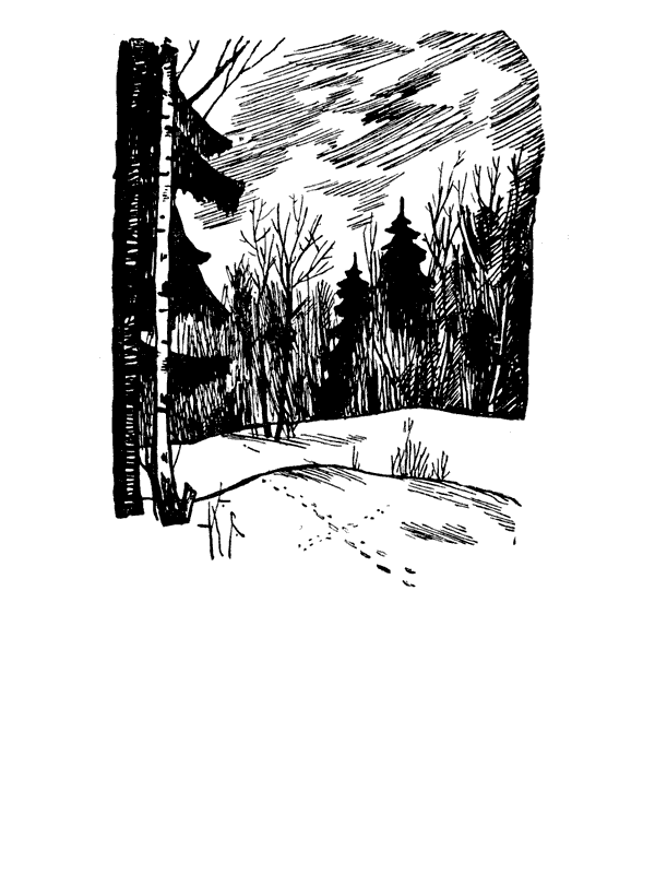 Книгаго: Леса и их обитатели. Иллюстрация № 1