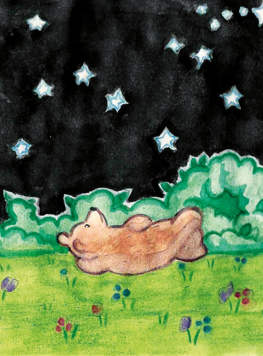 Книгаго: Где медведи на небе?. Иллюстрация № 1