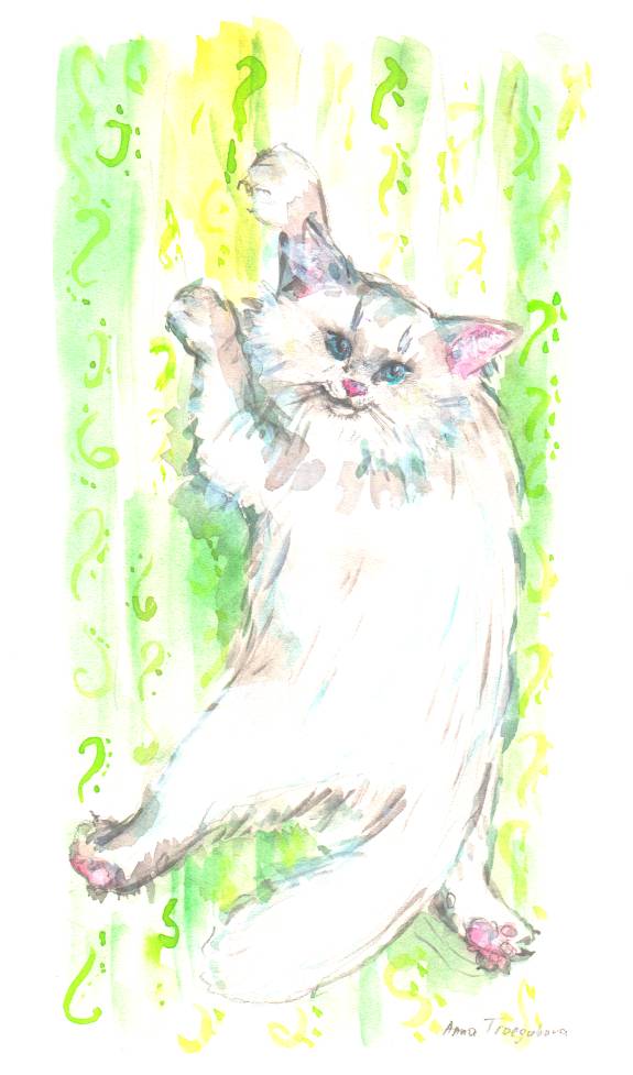 Книгаго: Котёнок Мяус. Иллюстрация № 2